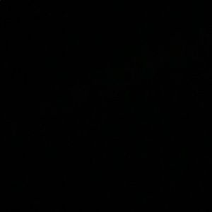 Meet your Posher, Veer